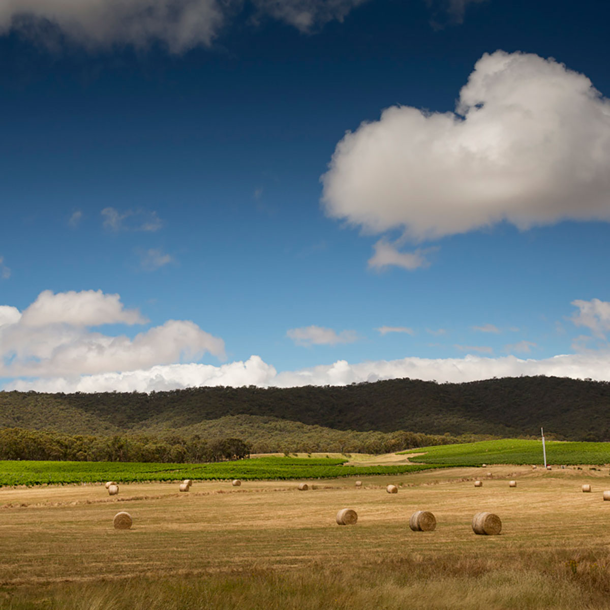 Camping at the Moonambel Recreation Reserve