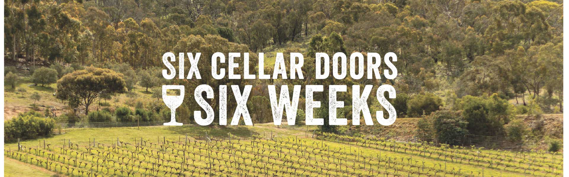 Six Cellar Doors in Six Weeks Competition